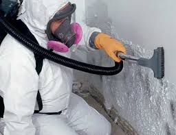 Why You Should Choose Our Mold Remediation Services in Griffin, GA